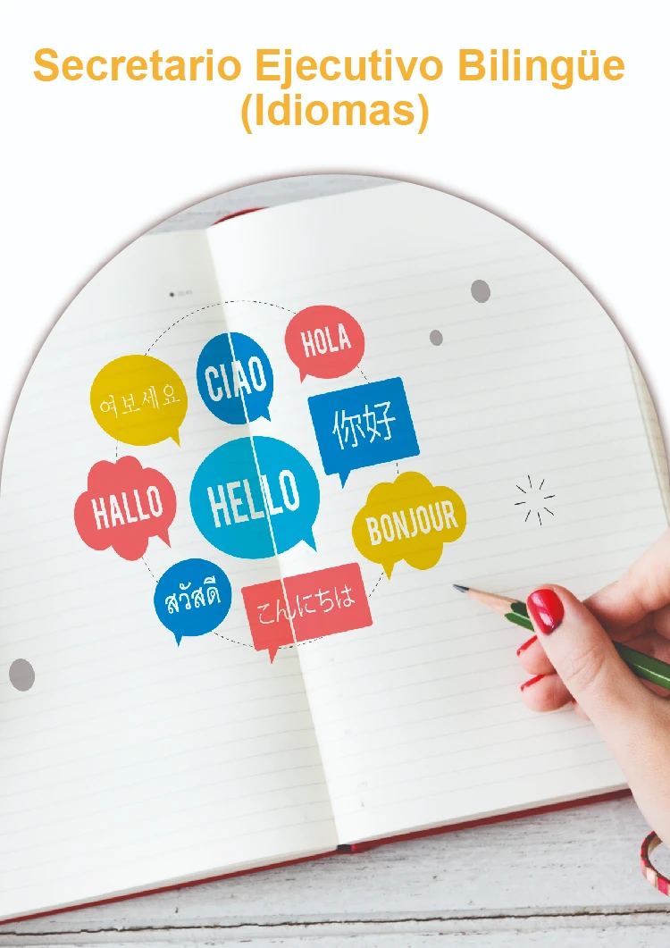 Secretario Ejecutivo Bilingüe Idiomas